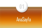 AnaSayfa